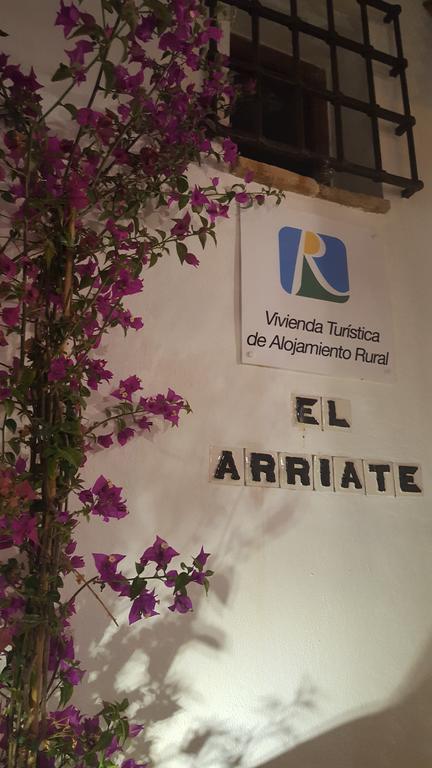 El Arriate de Vejer Lejlighed Vejer de la Frontera Eksteriør billede